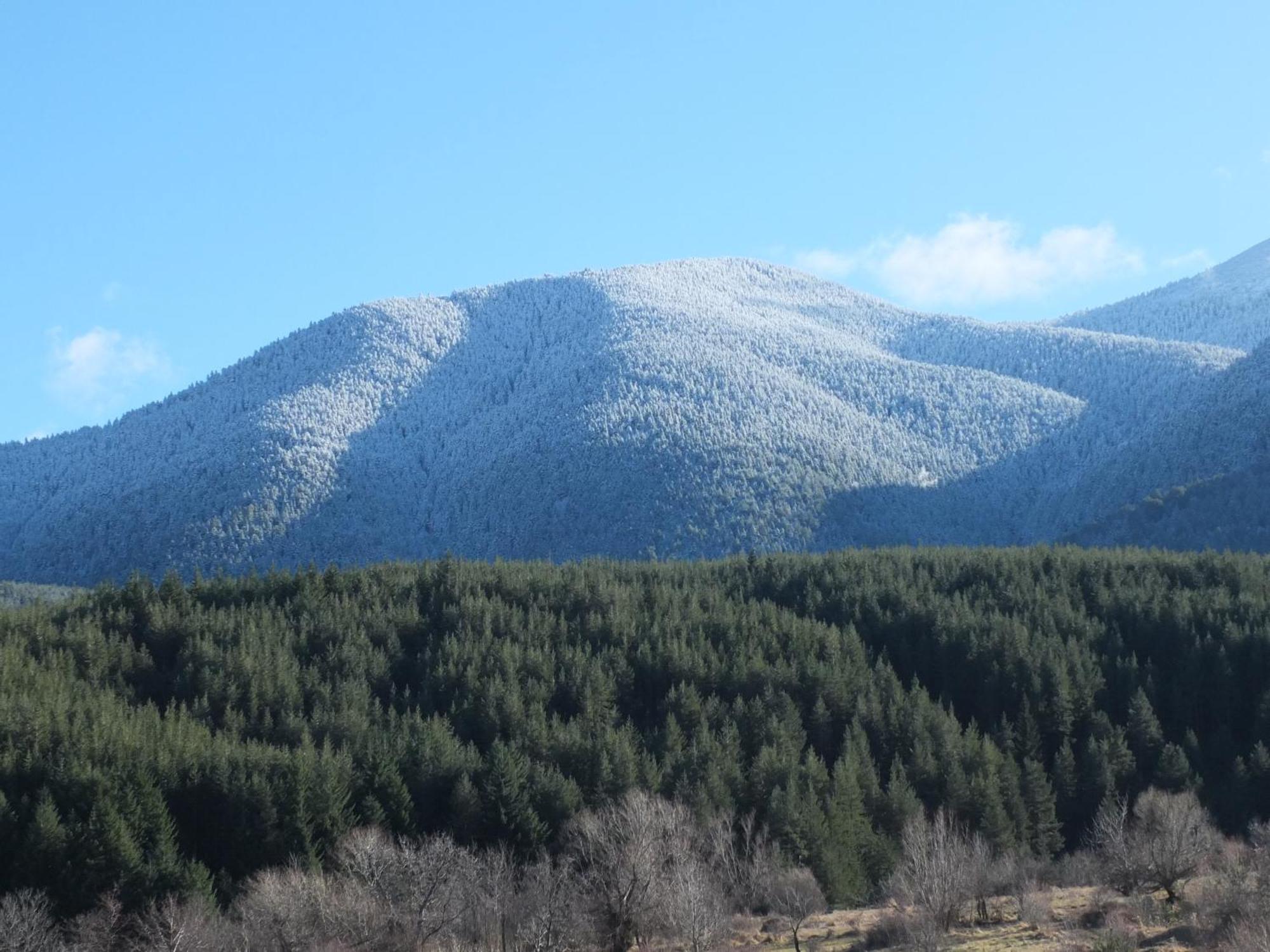 Pirin Heights A-21 Близо До Ски Пистата بانسكو المظهر الخارجي الصورة
